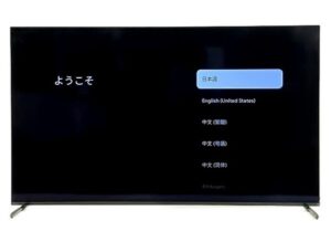 SONY BRAVIA XRJ-55A80L 55V