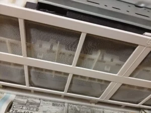 AS-C22F-Wのフィルターに堆積したホコリ
