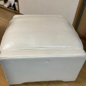 デセデ de Sede 本革オットマンの正面全体