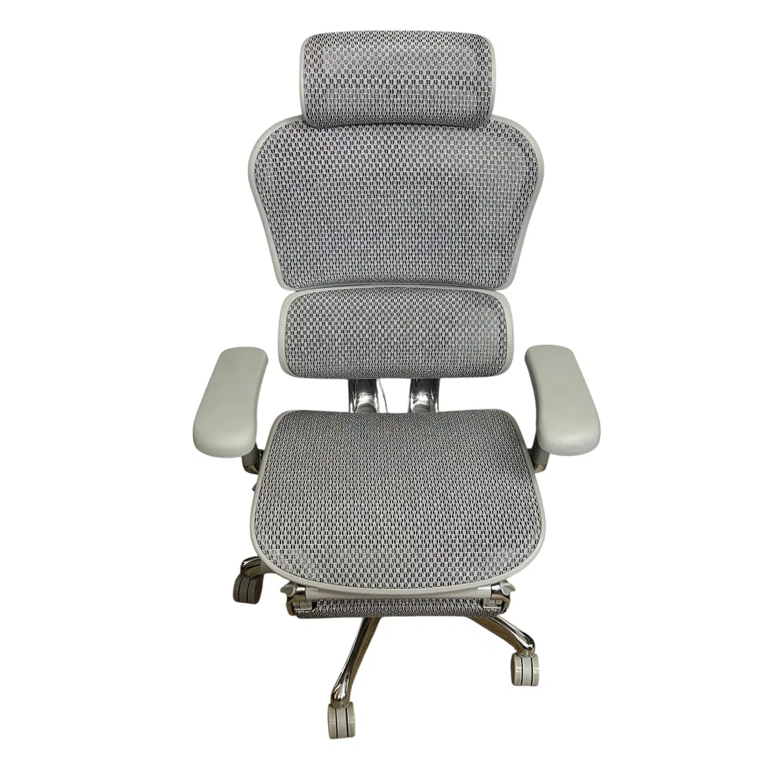 神奈川県横浜市まで出張買取でエルゴヒューマン プロ2（Ergohuman Pro2）オットマン付 オフィスチェア メッシュ グレー